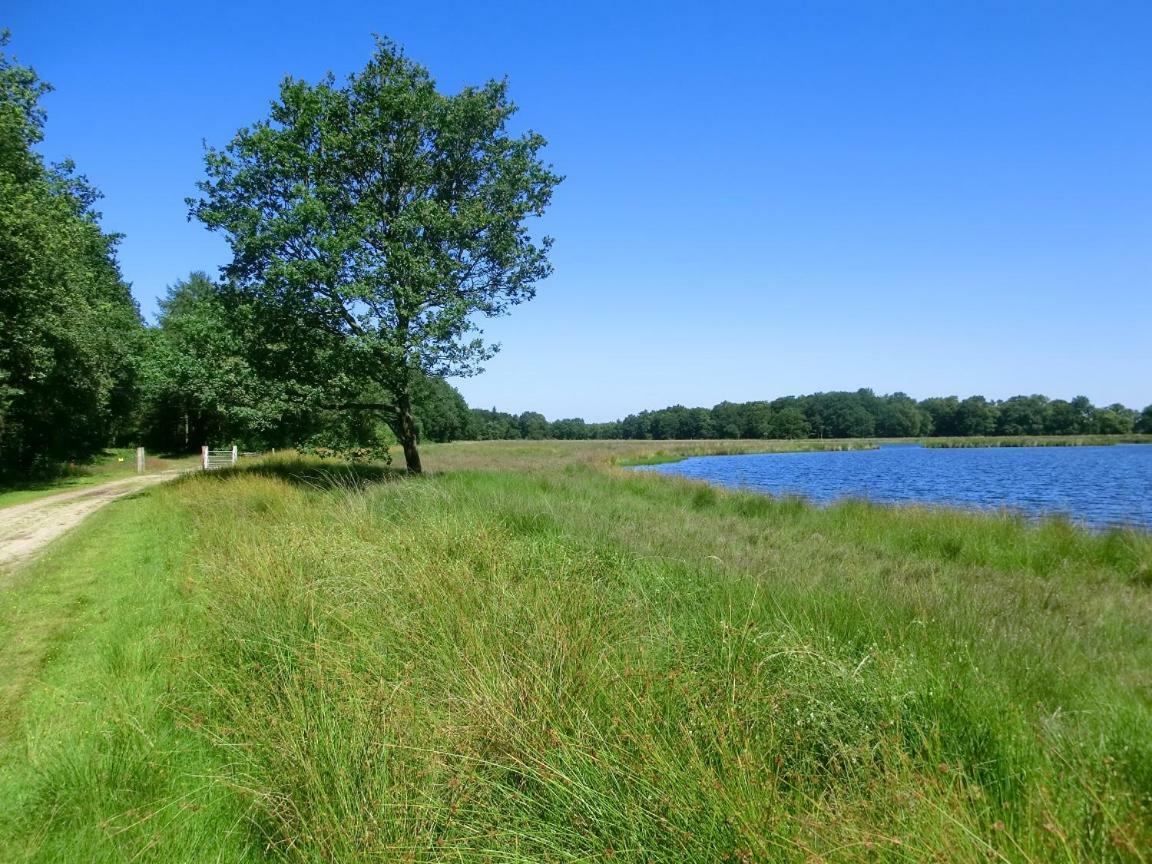 Sfeervol 6 Persoons Appartement - Van Alle Gemakken Voorzien! Bakkeveen Exteriér fotografie